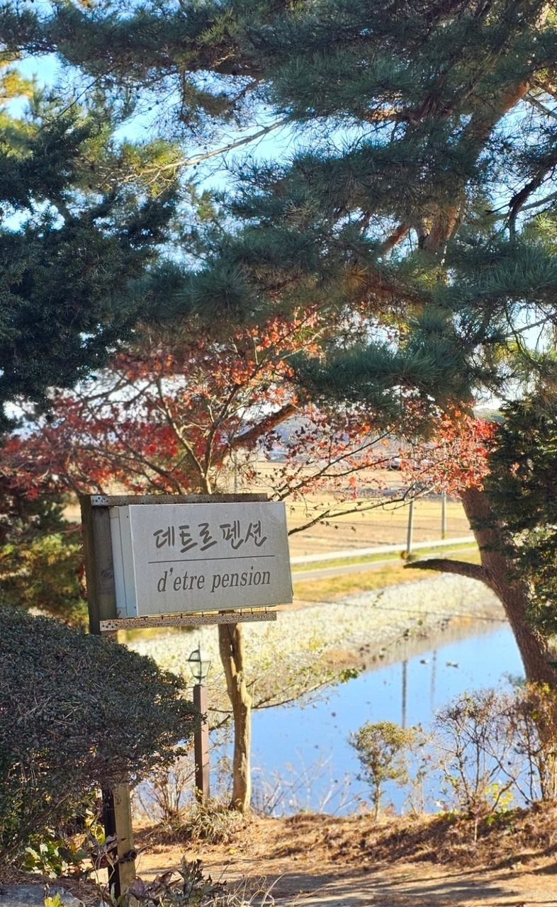 태안 안면도 독채 데트르펜션 바베큐 숙소, 내돈내산 사진 2
