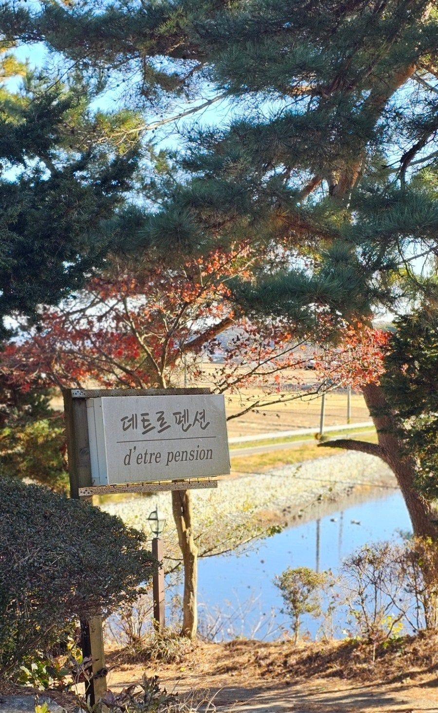 태안 안면도 독채 펜션 — 바베큐 가능한 프라이빗 숙소 후기 사진 2