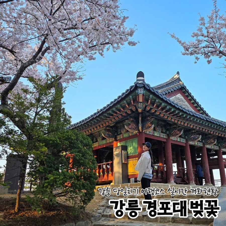 강릉 커플 여행 — 경포대·경포호 자전거·카페거리·시장 당일치기 코스