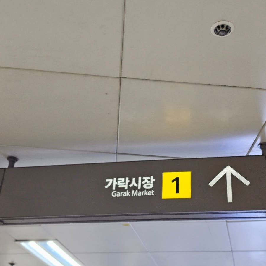 가락시장 회센터 이레수산, 대방어회 포장 역대급 가성비 후기 사진 3
