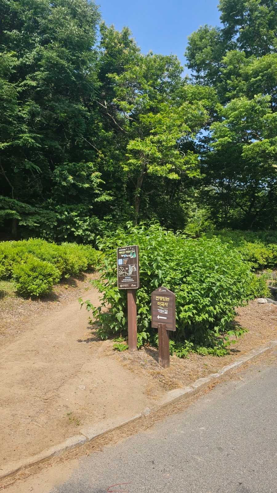 공주 마곡사 벚꽃 당일치기 — 주차·입장료·고즈넉한 사찰 나들이 사진 7