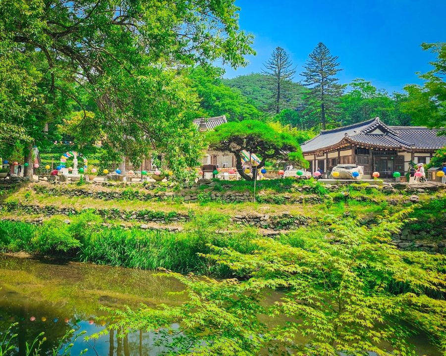 충남 공주 마곡사 벚꽃 가볼만한곳 당일치기여행 사진 3
