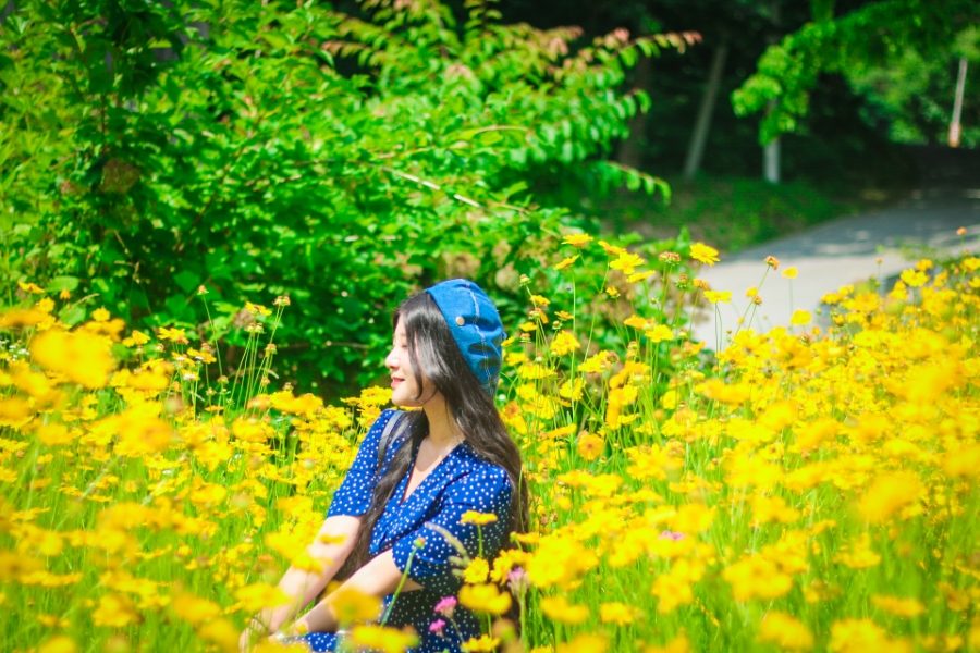 충남 공주 마곡사 벚꽃 가볼만한곳 당일치기여행 사진 4