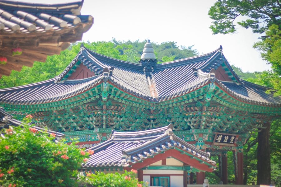 충남 공주 마곡사 벚꽃 가볼만한곳 당일치기여행 사진 5