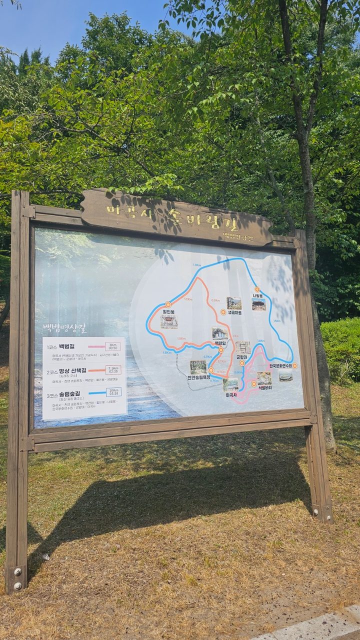 충남 공주 마곡사 벚꽃 가볼만한곳 당일치기여행 사진 6