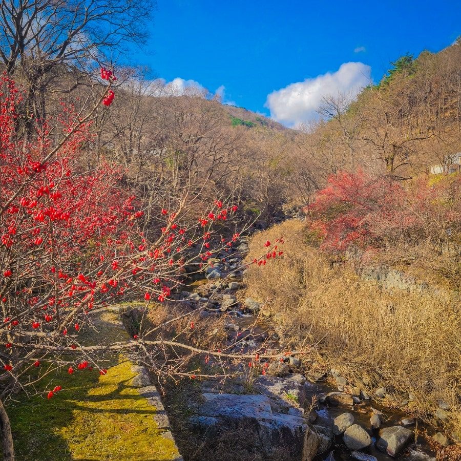 강원도 고성 가볼만한 곳 — 겨울 1박2일 코스, 고성 8경 한적 여행 사진 5