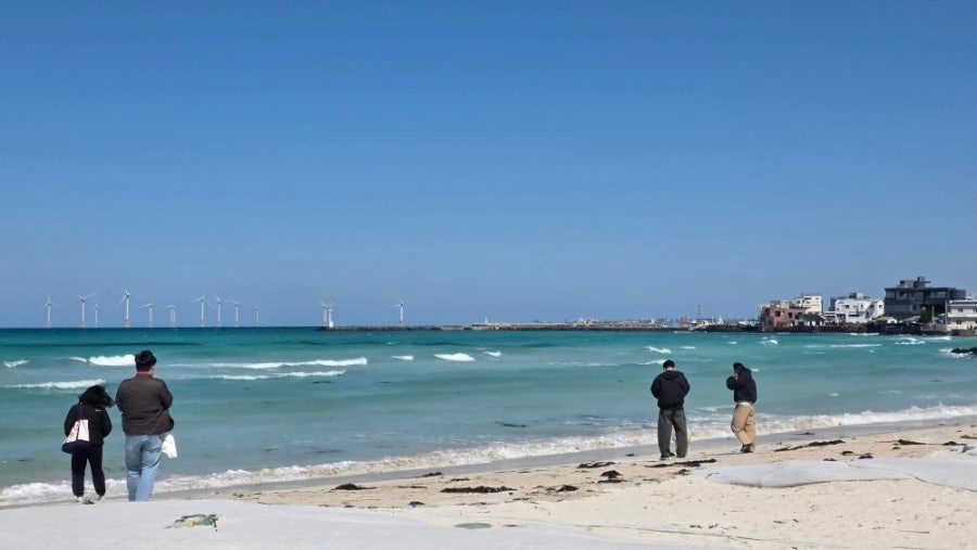 제주 한림 협재 흑돼지 맛집 바당돈, 바다뷰 보며 먹은 인생 흑돼지 사진 2