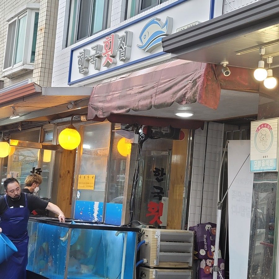 중랑역 한국횟집 오마카세, 인당 5만원 갓성비 서울 이모카세 후기 사진 4