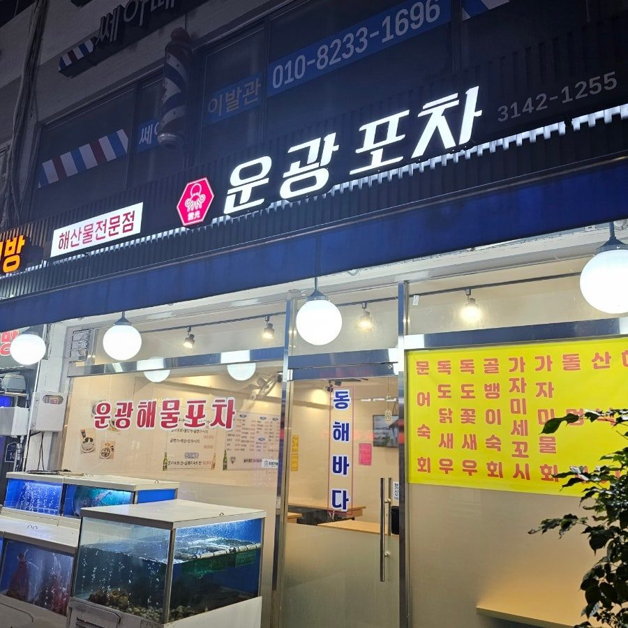 남가좌동 횟집 운광해물포차 후기 — 독도꽃새우와 돌문어숙회 찐맛집 사진 2