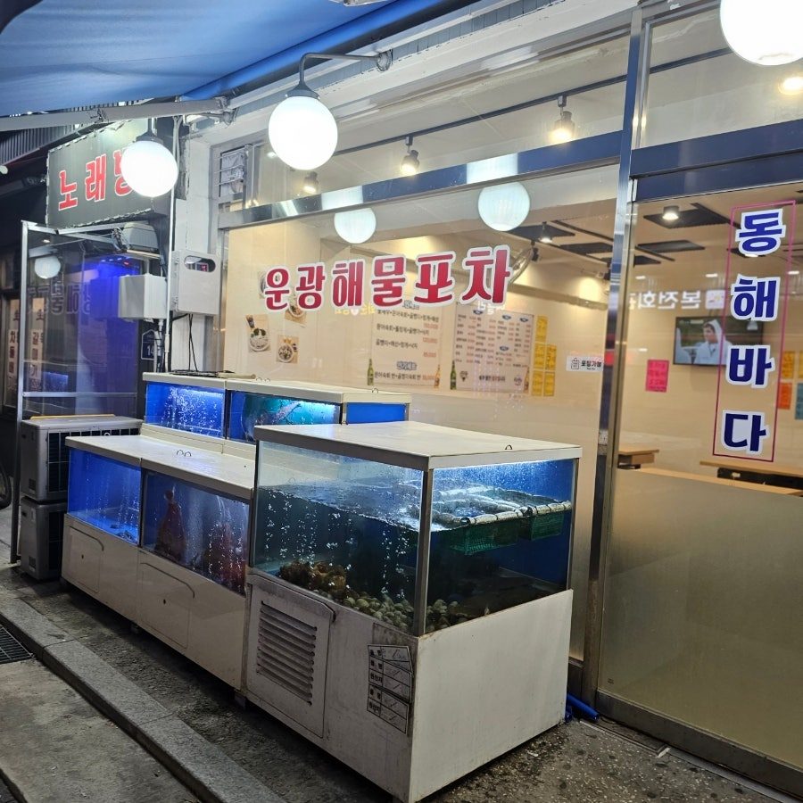 남가좌동 횟집 운광해물포차 후기 — 독도꽃새우와 돌문어숙회 찐맛집 사진 3