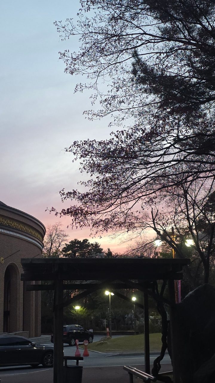 서울 겹벚꽃 명소 총정리 — 보라매공원·국회의사당 사랑재·여의도 시범아파트 사진 5
