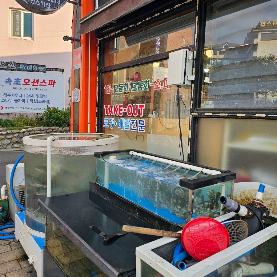 속초 중앙시장 회포장 맛집 한스키친 내돈내산 후기 사진 4