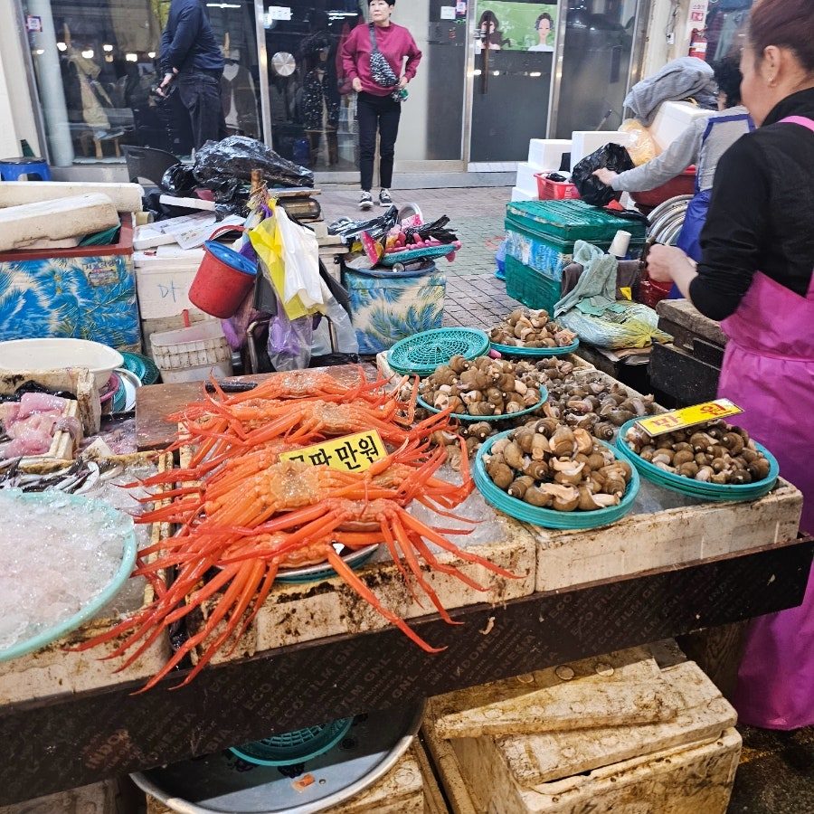 속초 겨울여행 2박3일 코스 — 아이랑 실내·겨울바다 가볼만한 곳 사진 5