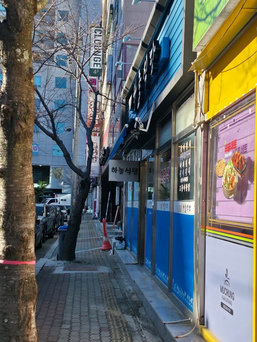 통영 죽림 밥집 아침식사 맛집, 하늘식당 백반 가성비 내돈내산 후기 사진 4