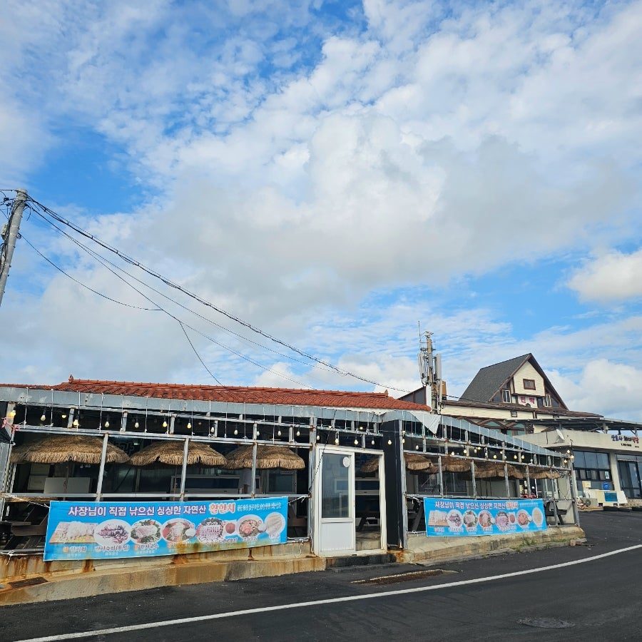 제주도 우도 물회 맛집 추천 회양과 국수군 사진 3