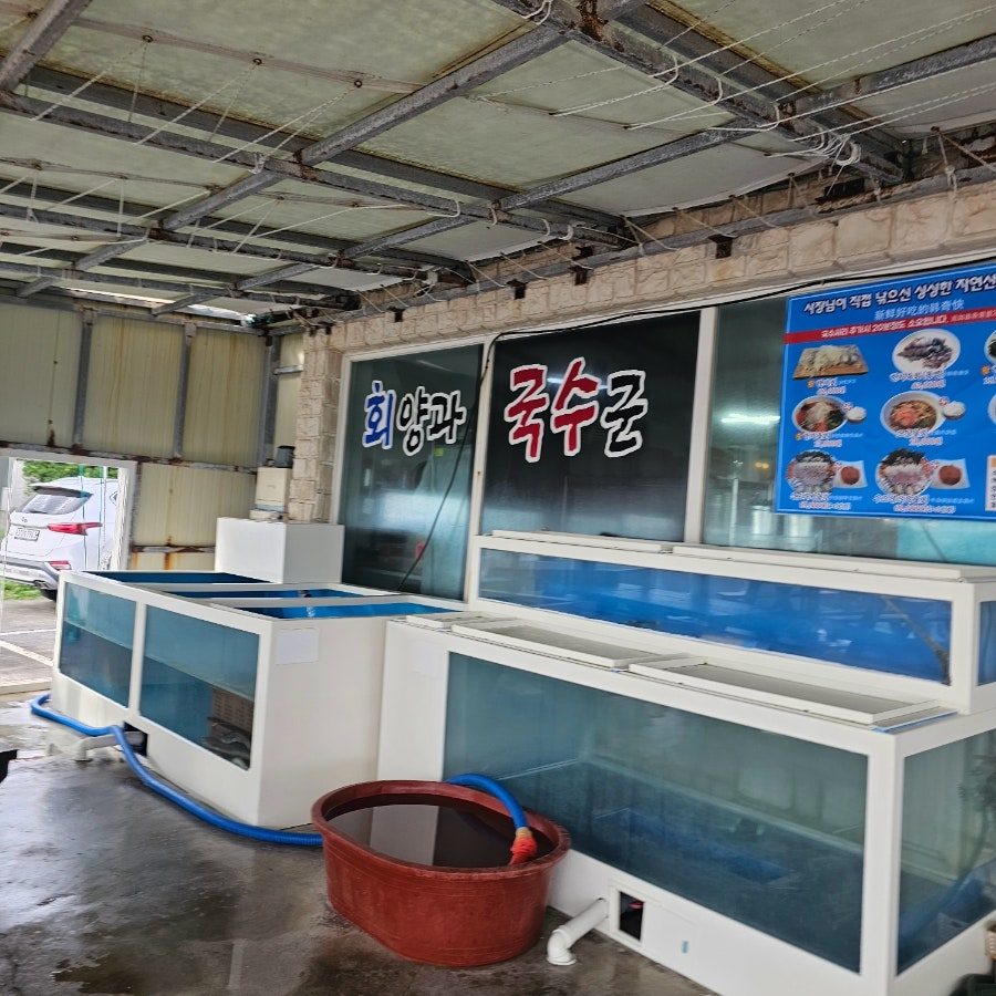 제주도 우도 물회 맛집 추천 회양과 국수군 사진 5