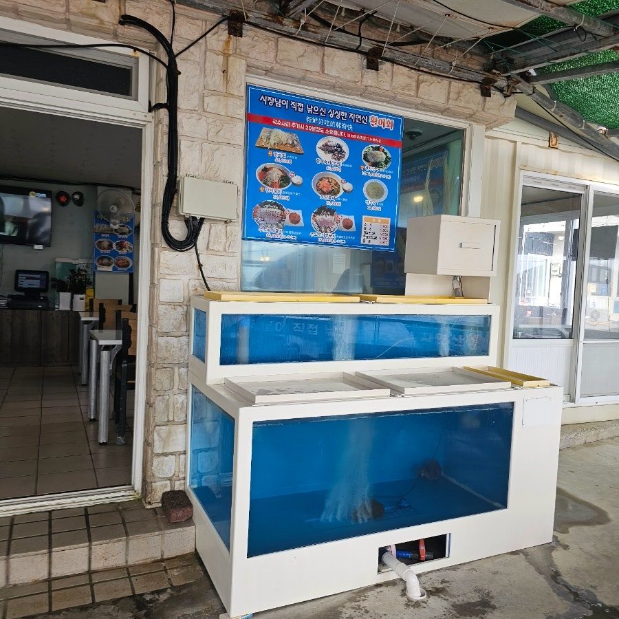 제주도 우도 물회 맛집 추천 회양과 국수군 사진 6