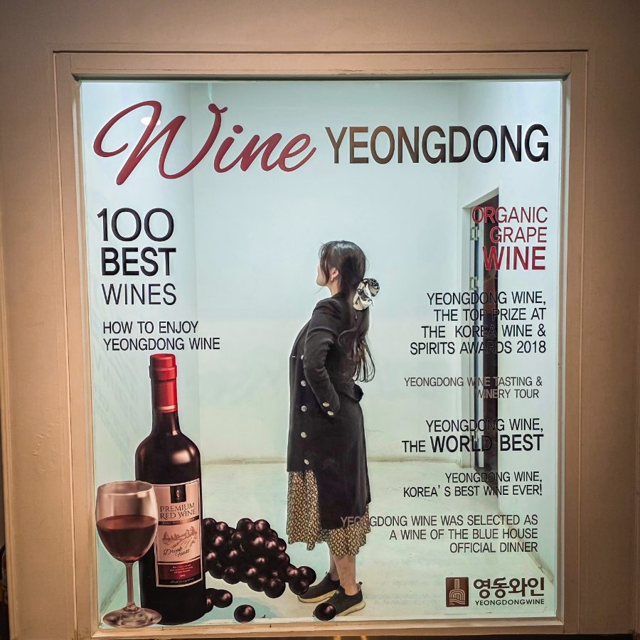 충북 영동 가볼만한 곳 모음 — 와인터널·월류봉·반야사·맛집 사진 6