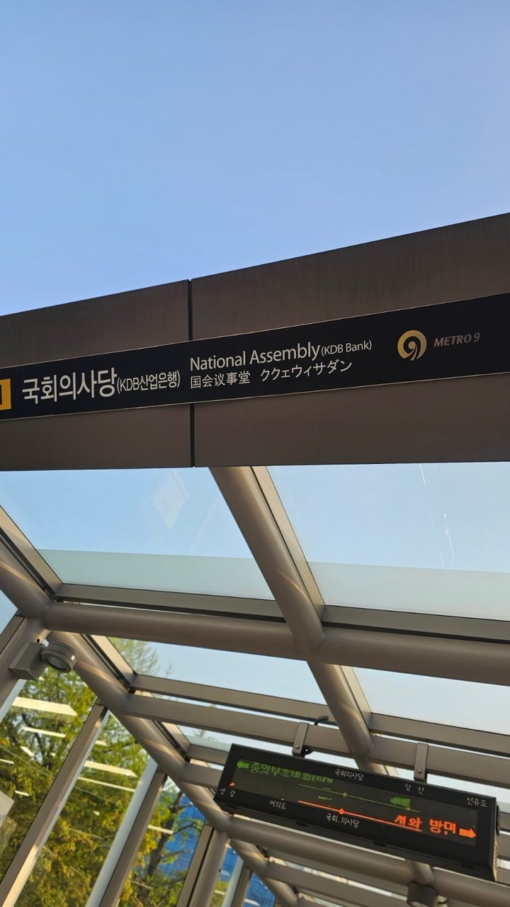 여의도 이색데이트, 국회의사당 사랑재와 강변서재 겹벚꽃 명소 사진 2