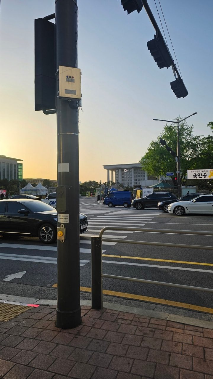 여의도 이색데이트, 국회의사당 사랑재와 강변서재 겹벚꽃 명소 사진 3
