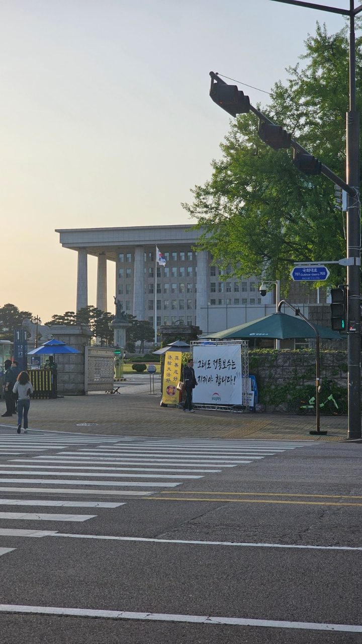 여의도 이색데이트, 국회의사당 사랑재와 강변서재 겹벚꽃 명소 사진 4