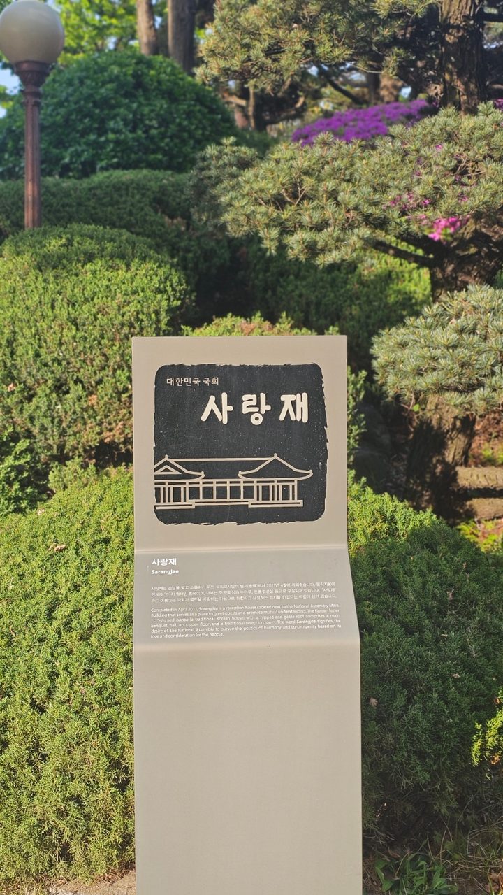 여의도 이색데이트, 국회의사당 사랑재와 강변서재 겹벚꽃 명소 사진 5