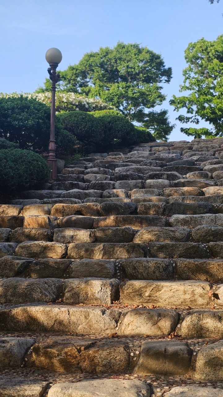 여의도 이색데이트, 국회의사당 사랑재와 강변서재 겹벚꽃 명소 사진 6