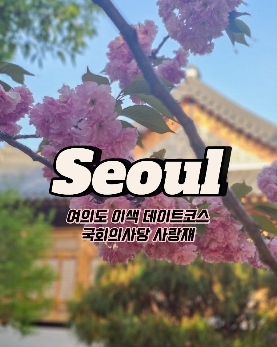 여의도 이색데이트, 국회의사당 사랑재와 강변서재 겹벚꽃 명소
